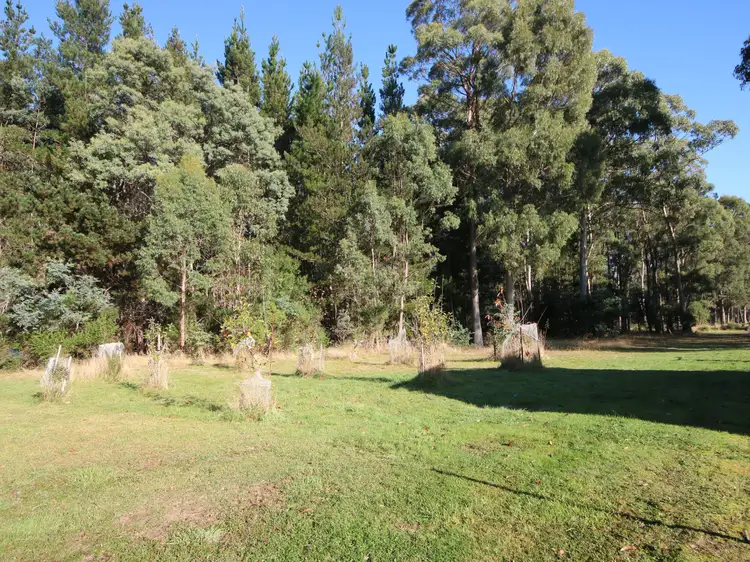 Sixth view of Homely land listing, 22 Gray Road, St Marys TAS 7215