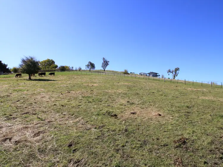 Main view of Homely land listing, 59 MacFarlane Street, Benambra VIC 3900