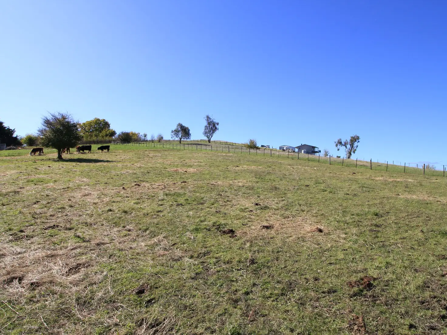 Main view of Homely land listing, 59 MacFarlane Street, Benambra VIC 3900