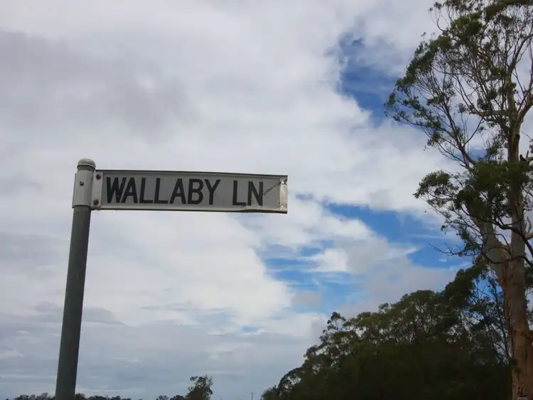 Fifth view of Homely rural property listing, Lot 1 Wallaby Lane, Taloumbi NSW 2463