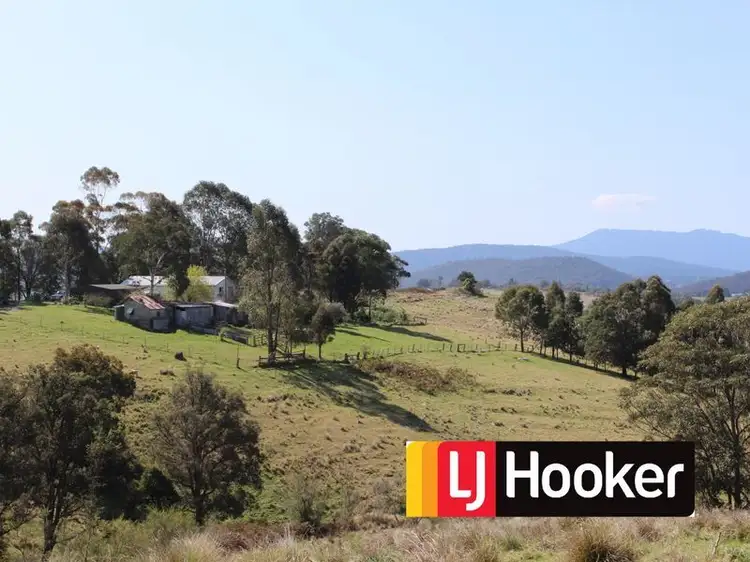 Main view of Homely rural property listing, 11265 Princes Highway, Cobargo NSW 2550