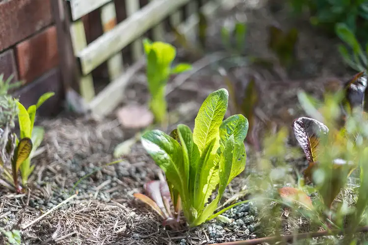 Sixth view of Homely apartment listing, 2/121 Balgowlah Road, Fairlight NSW 2094