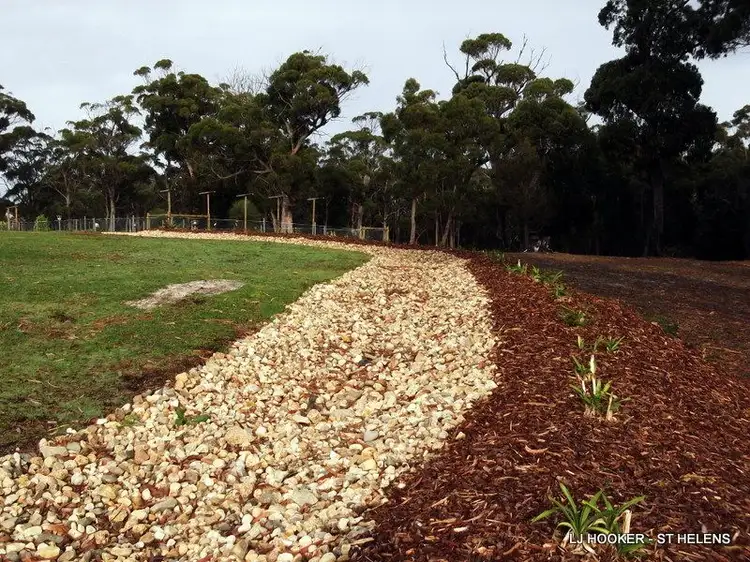 Sixth view of Homely house listing, 813 Reids Road, Binalong Bay TAS 7216