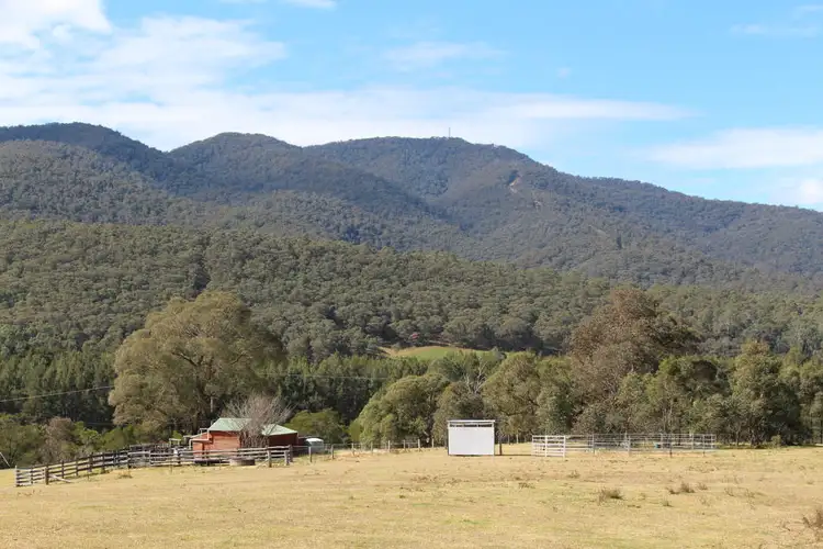 135 Bourkes Road, Yowrie NSW 2550