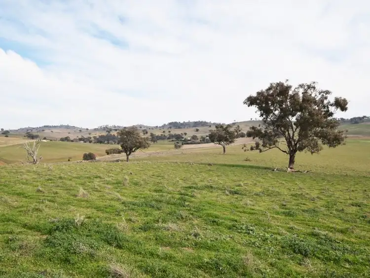 Fourth view of Homely rural property listing, 1640 Rosehill Road, Jugiong NSW 2726