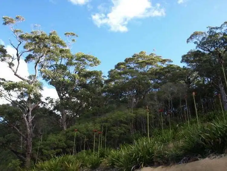 Sixth view of Homely land listing, 7 Tareebin Road, Nelson Bay NSW 2315