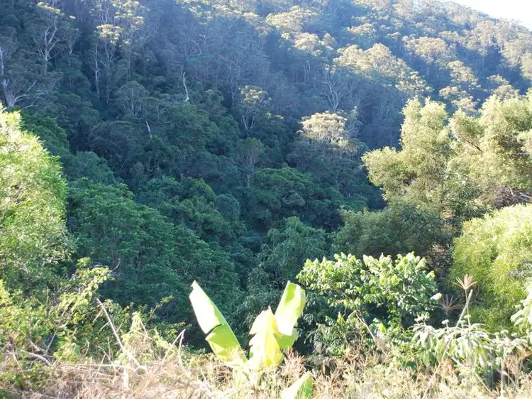 Fourth view of Homely land listing, Lot 4 89 Rippingale Road, Korora NSW 2450