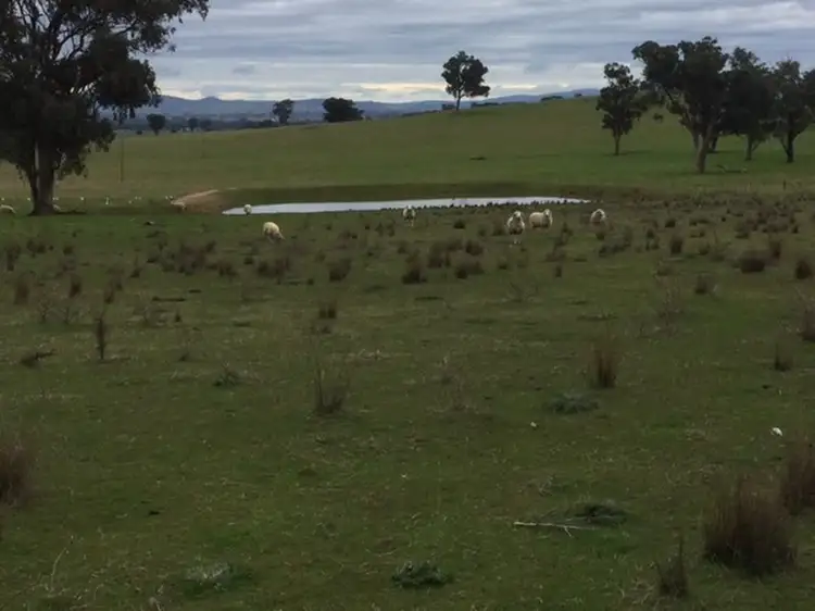 Main view of Homely land listing, 84 Cultowa Lane, Canowindra NSW 2804