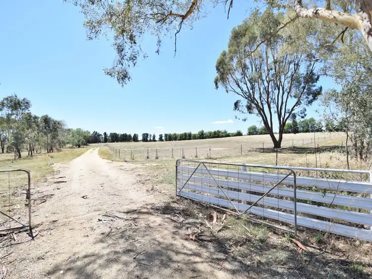 Second view of Homely rural property listing, 650 Monteagle Stock Route Rd Eest, Young NSW 2594