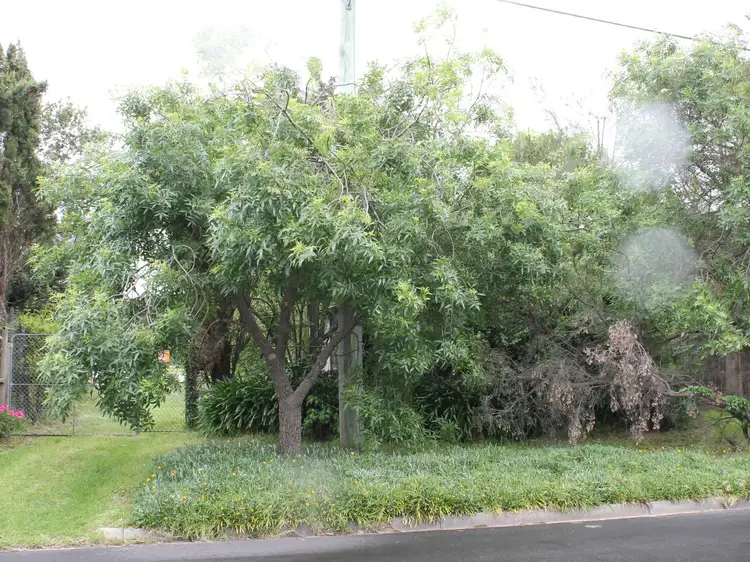 Second view of Homely land listing, 19 Veronica Street, Inverloch VIC 3996