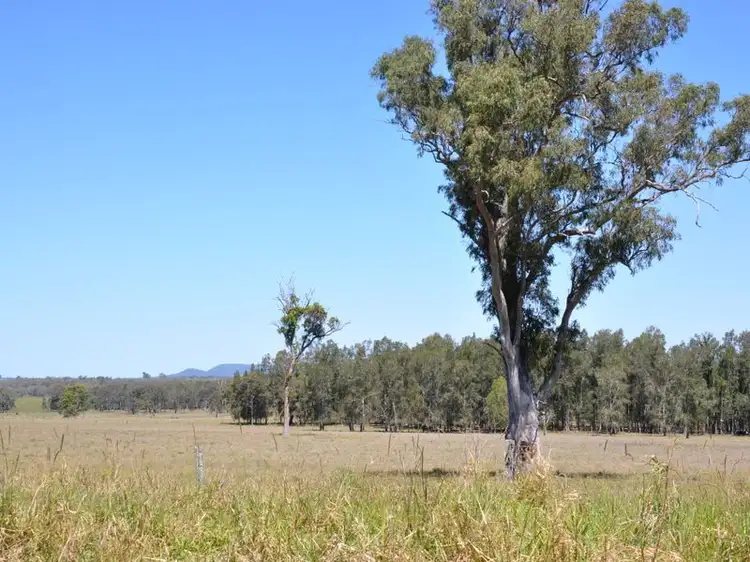 Third view of Homely rural property listing, 637 Lagoon Road, West Coraki NSW 2471