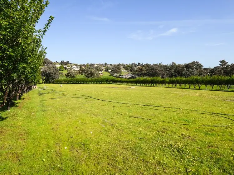 Second view of Homely house listing, 88 Willawong Street, Young NSW 2594