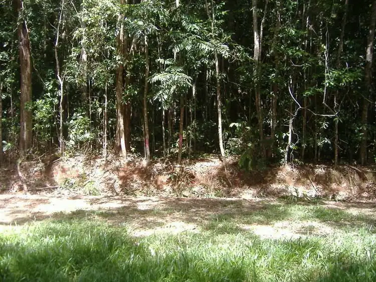 Third view of Homely land listing, 442 Cape Tribulation Road - Cow Bay, Daintree QLD 4873