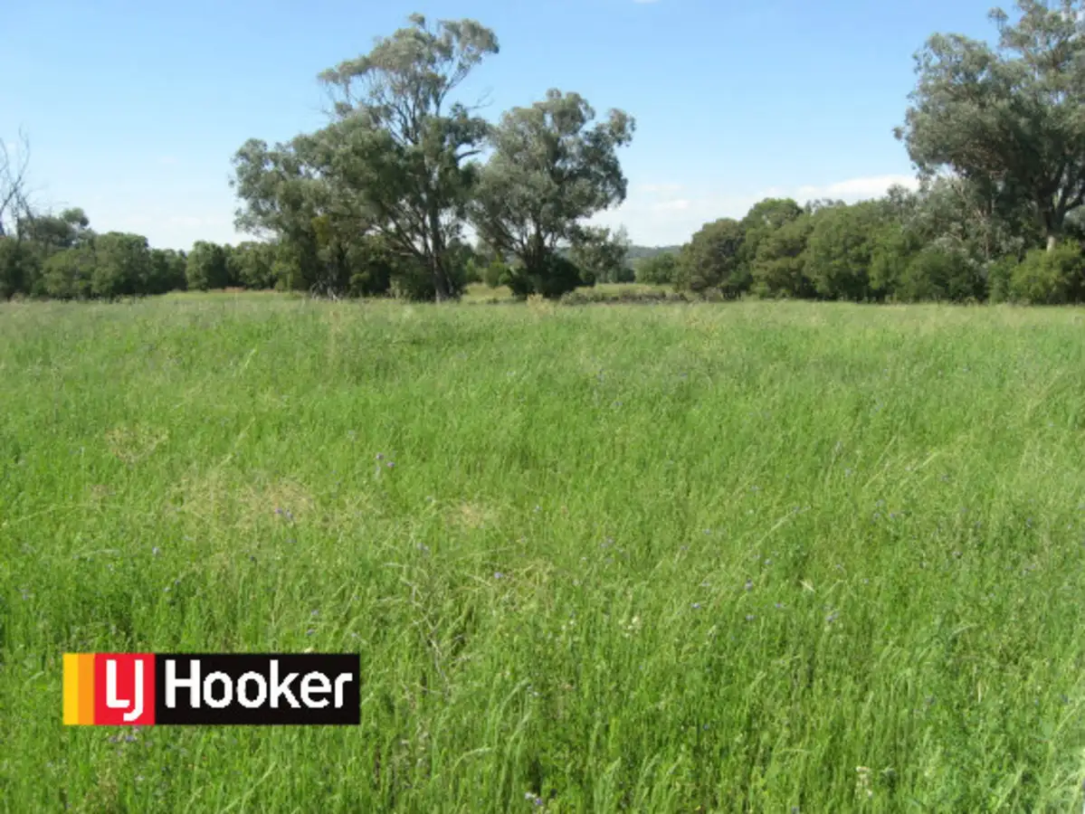 Main view of Homely rural property listing, Alan Cunningham Road, Bingara NSW 2404