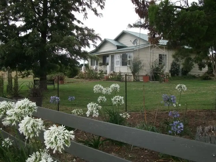 Main view of Homely rural property listing, 5 Pine Rd, Young NSW 2594