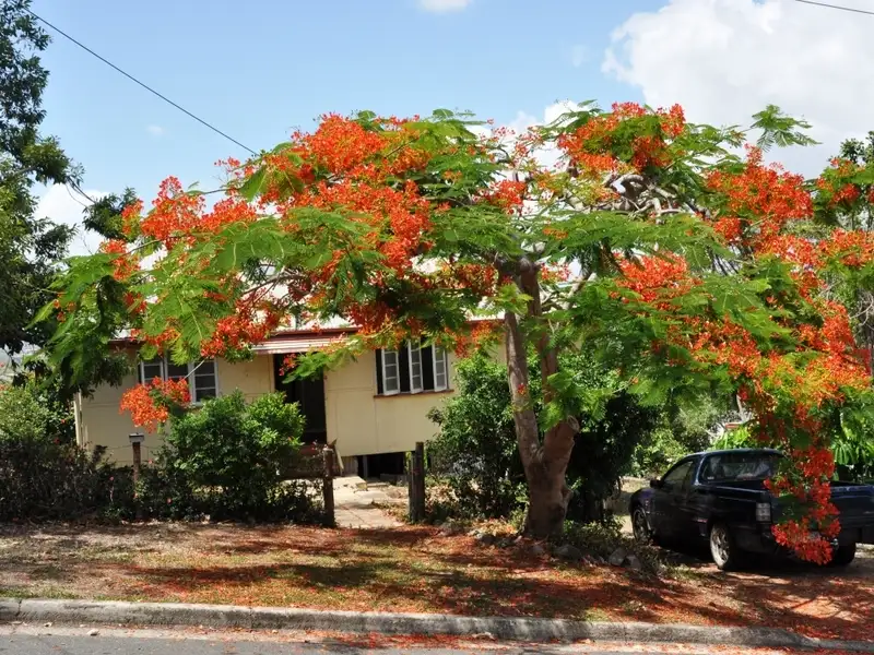 Main view of Homely house listing, 4 Ross Street, Yeppoon QLD 4703