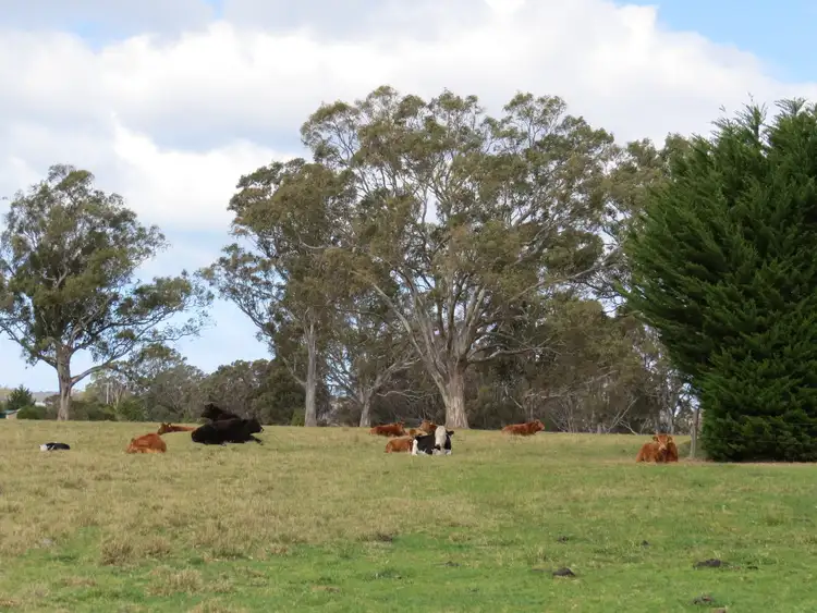 Fifth view of Homely house listing, 70 Swan Reach Road, Swan Reach VIC 3903