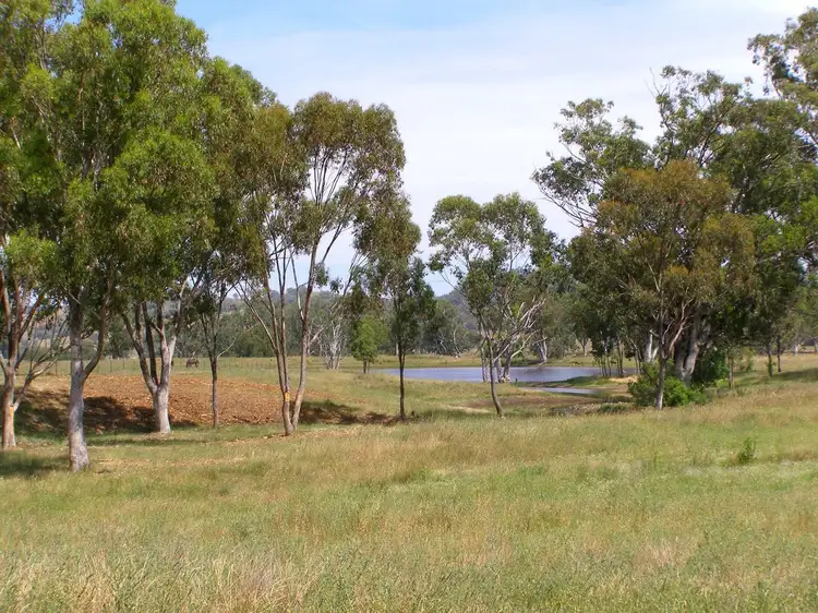 Main view of Homely rural property listing, 1314 Whitlow Road, Bingara NSW 2404