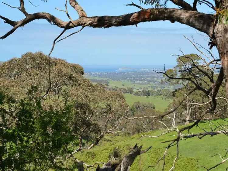 Third view of Homely rural property listing, 3770 Adelaide Road, Hindmarsh Valley SA 5211