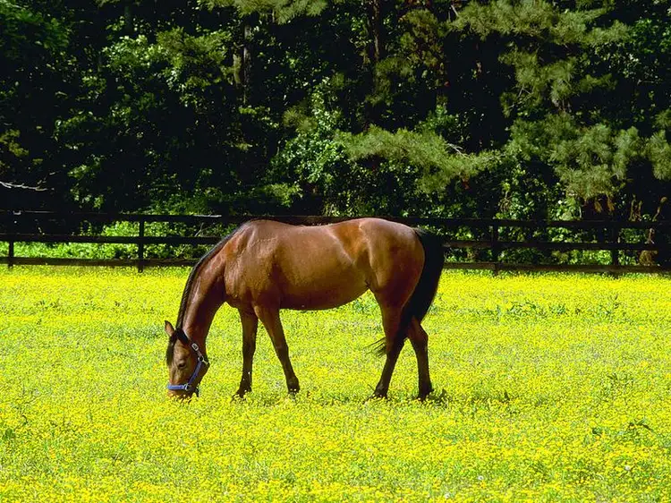 Third view of Homely house listing, 49 Crane Crescent, Nerang QLD 4211