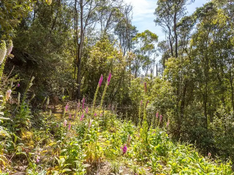 Seventh view of Homely land listing, Snug Tiers Road, Snug TAS 7054