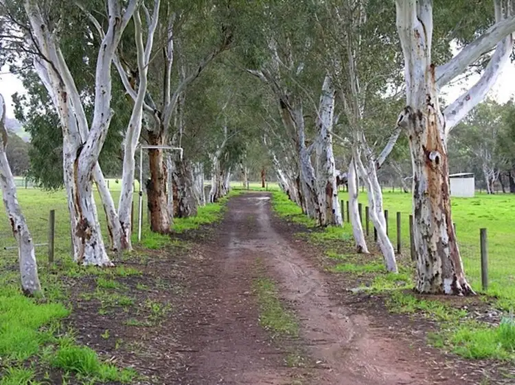 Fourth view of Homely house listing, 691 Chittering Valley Road, Lower Chittering WA 6084