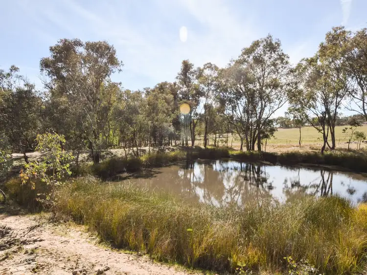 Seventh view of Homely rural property listing, 462 Gooloogong Road, Grenfell NSW 2810