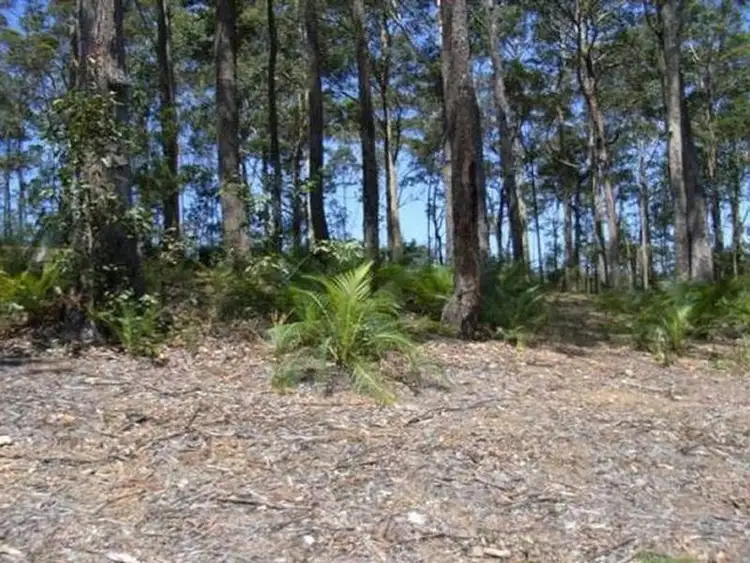 Main view of Homely land listing, 107 Litchfield Crescent, Long Beach NSW 2536