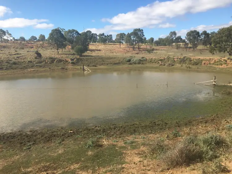 Seventh view of Homely rural property listing, 407 Lanreef Road, Roma QLD 4455