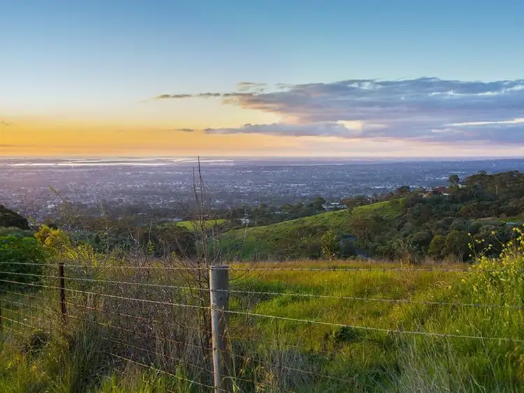 Main view of Homely land listing, 51 Woodland Way, Teringie SA 5072