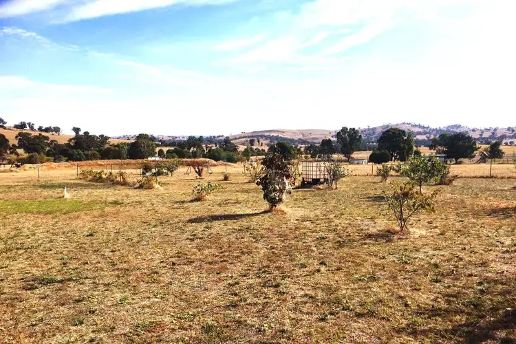 1020 Pinemount Road, Woodstock NSW 2793