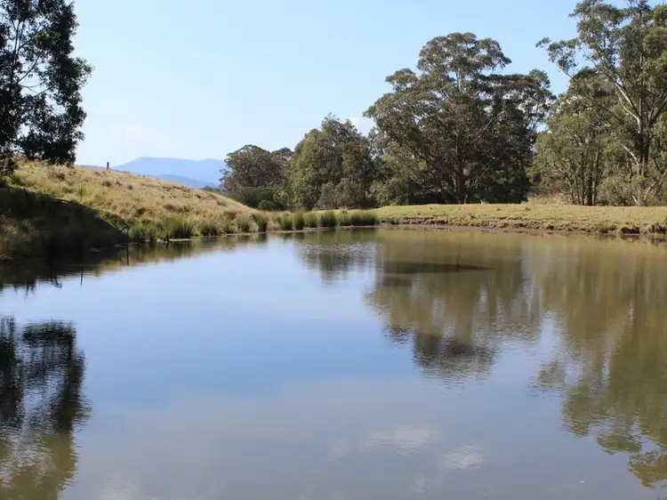 Third view of Homely rural property listing, 11265 Princes Highway, Cobargo NSW 2550