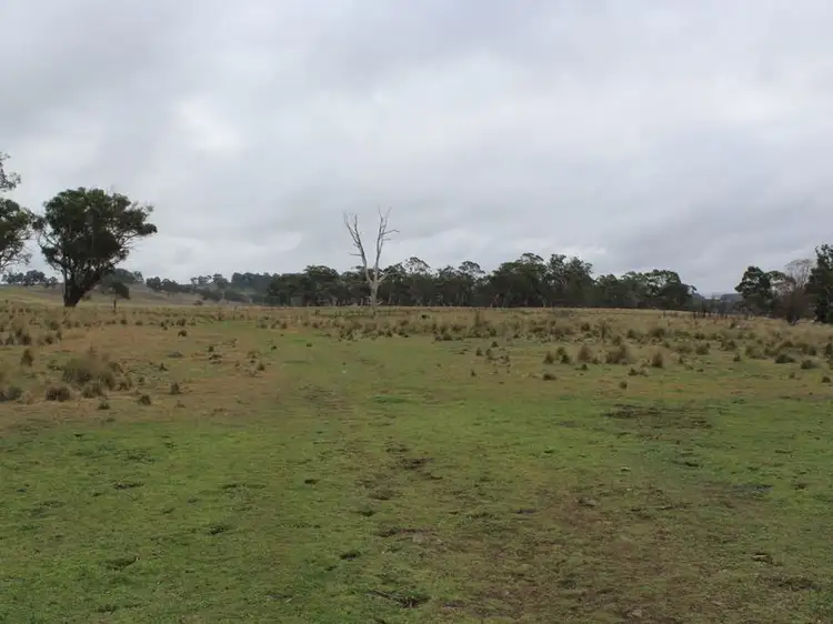 Third view of Homely rural property listing, Various Creewah Road, Cathcart NSW 2632