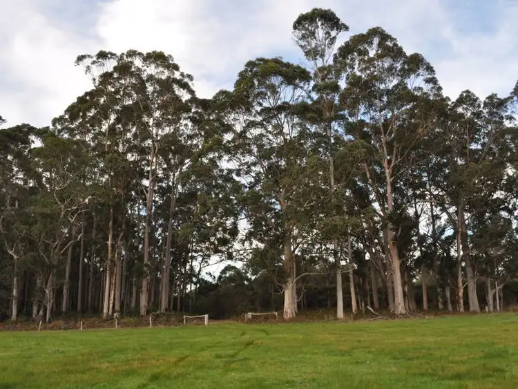 Second view of Homely rural property listing, Lot 8918 Tattenham Road, Northcliffe WA 6262