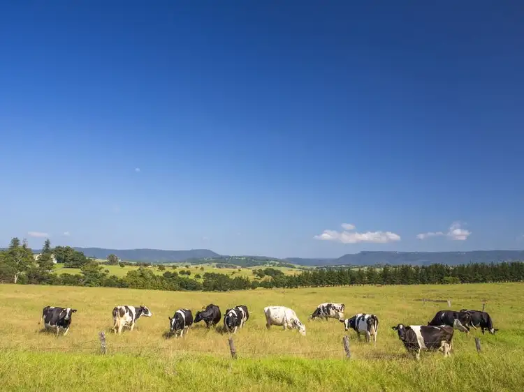 Second view of Homely rural property listing, Lot 2 Woodstock Road, Milton NSW 2538