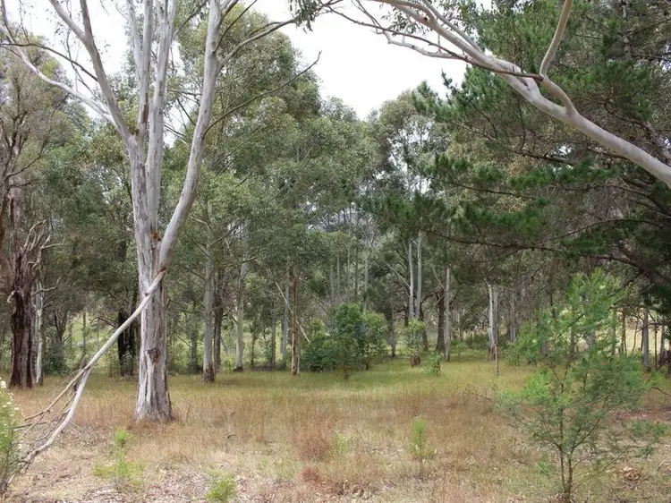 Third view of Homely land listing, 1933 Princes Highway, Wolumla NSW 2550