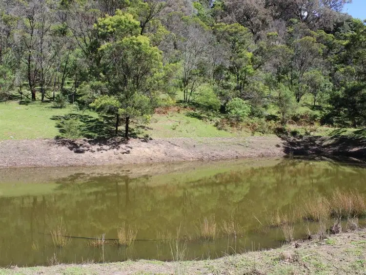 Third view of Homely rural property listing, 1321 Big Jack Mountain Road, Rocky Hall NSW 2550
