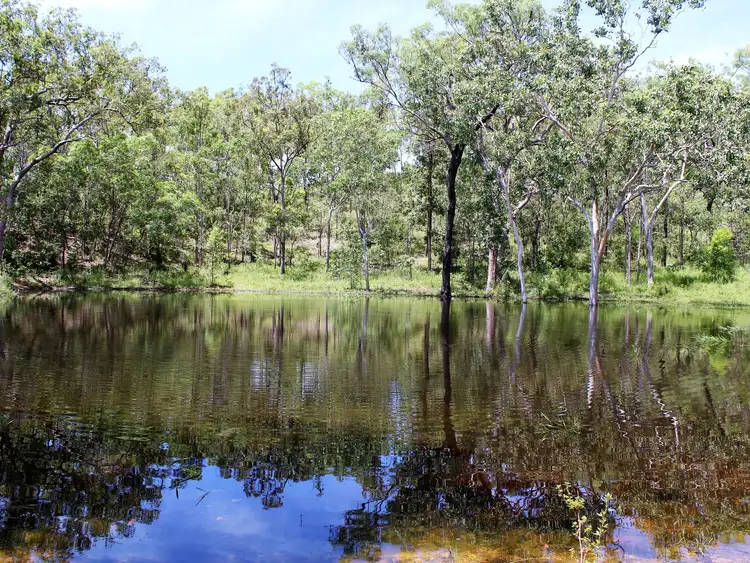 Seventh view of Homely rural property listing, 321 Ilbilbie Rd, Koumala QLD 4738