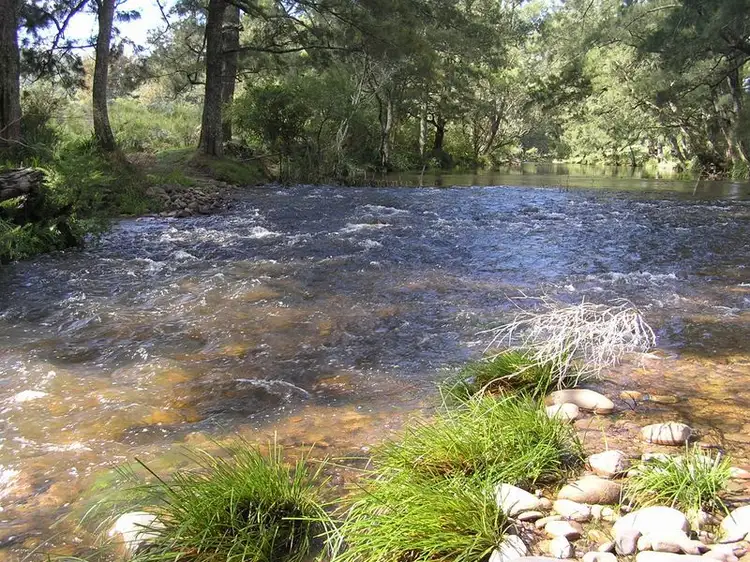 277 Bourkes Road, Yowrie NSW 2550