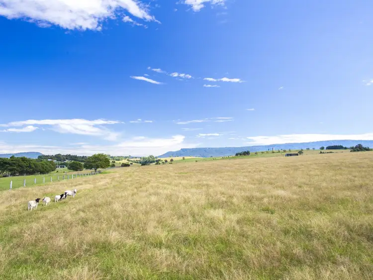 Fourth view of Homely rural property listing, 398 Croobyar Road, Milton NSW 2538
