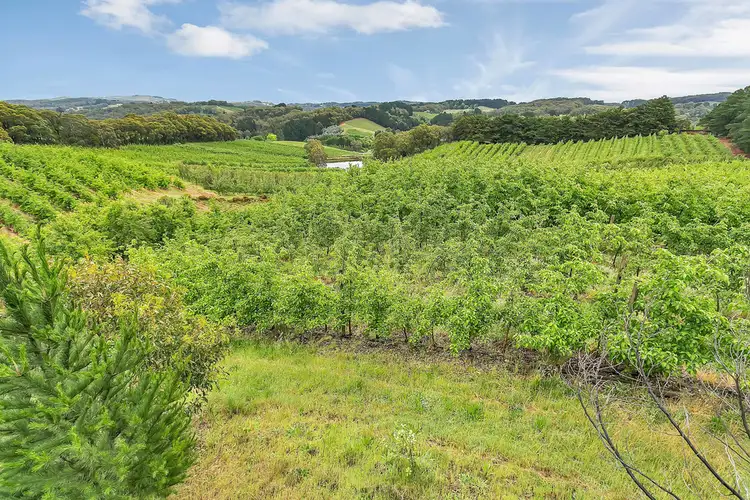 Fourth view of Homely land listing, 130 Coldstore Road, Lenswood SA 5240