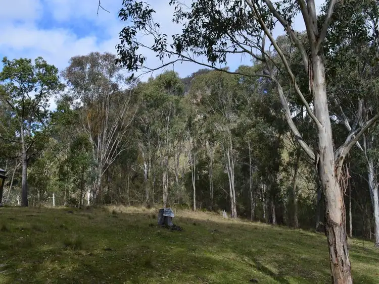 Sixth view of Homely rural property listing, Lot 165 Condamine River Road, Killarney QLD 4373