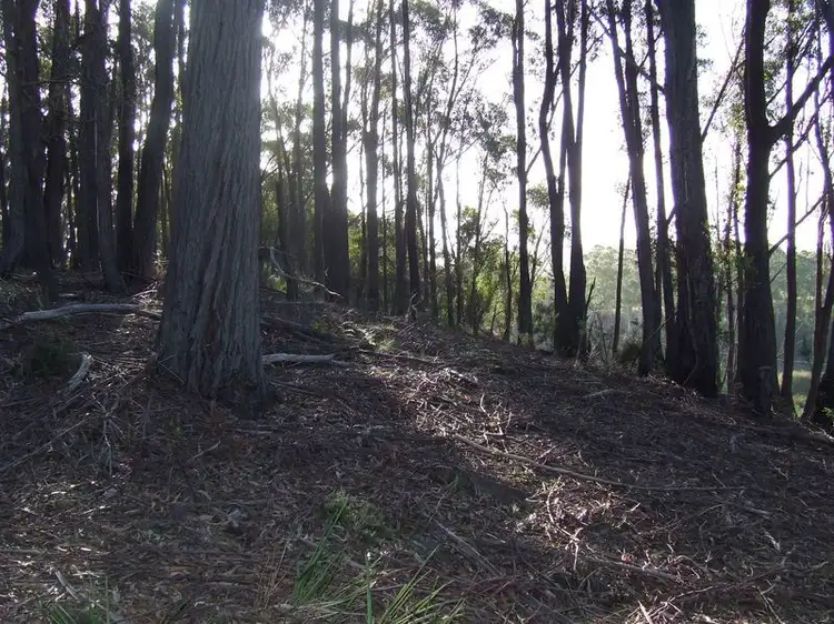 Fifth view of Homely land listing, Lot 1 Upper Scamander Road, Beaumaris TAS 7215