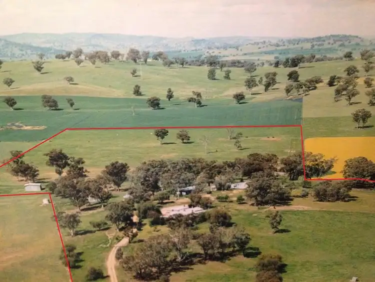 Second view of Homely rural property listing, 6470 Lachlan Valley Way, Cowra NSW 2794