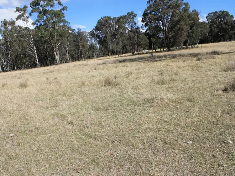 Sixth view of Homely land listing, Lots 180-1 Torrington Rd, Deepwater NSW 2371