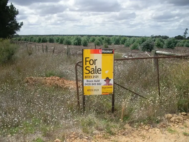 Third view of Homely rural property listing, Border Lane, Strathdownie VIC 3312