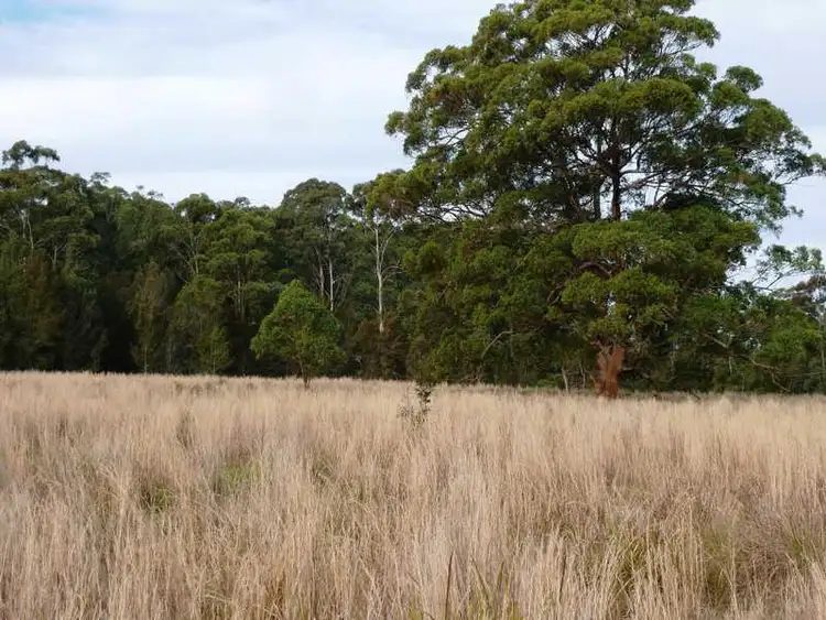 Seventh view of Homely land listing, 77 83 91 Blackhead Road, Rainbow Flat NSW 2430
