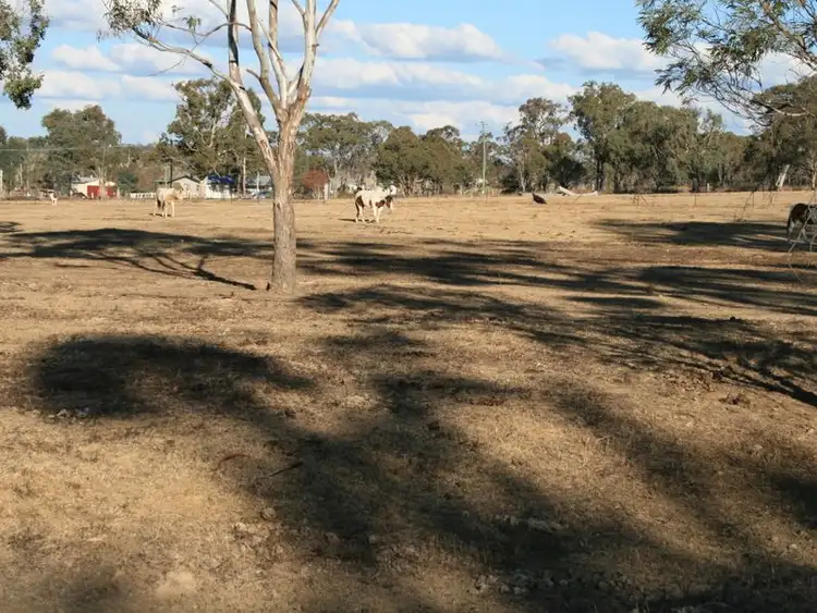 Seventh view of Homely rural property listing, 20 White Street, Pratten QLD 4370