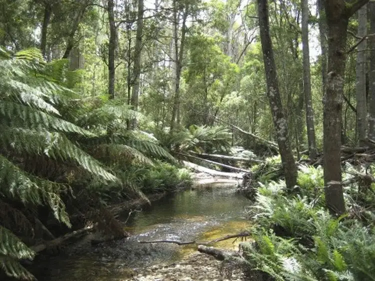 Lot 1 Terryvale Road, Goshen TAS 7216
