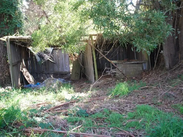 Seventh view of Homely rural property listing, 16717 Bass Highway, Flowerdale TAS 7325